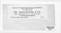 Image Associated With the Occurence